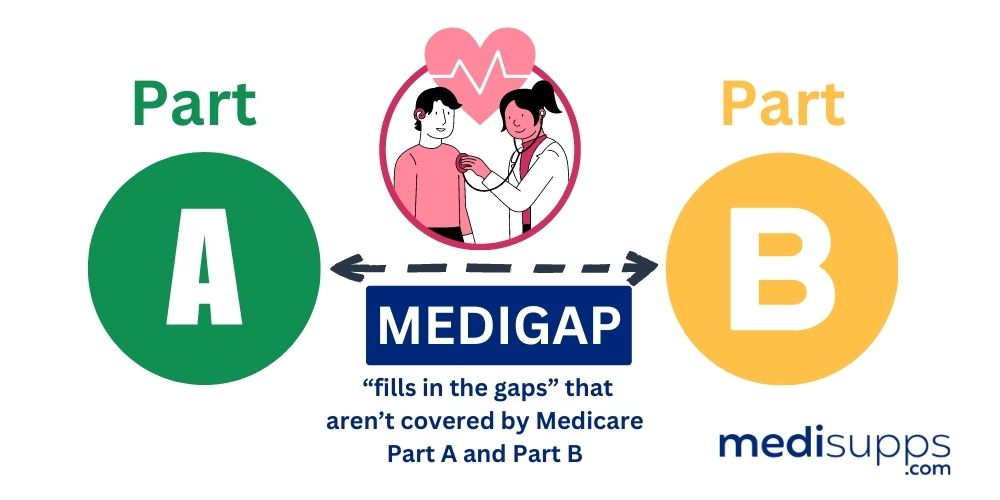 What Medicare Part A & B Expenses Do Medigap Plans Cover - MEDIGAP