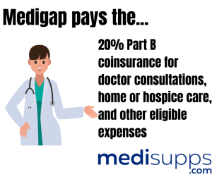 Medigap Pays the 20% for Part B coinsurance 