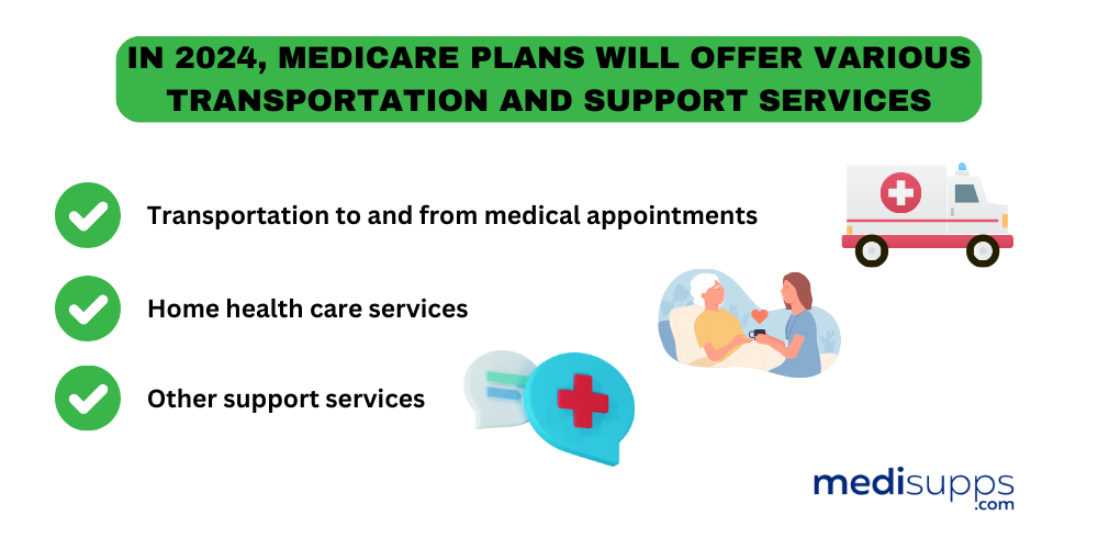 Medicare basics clearwater fl 