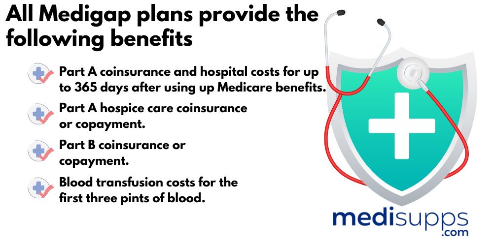 What do Medigap Plans Cover (1)