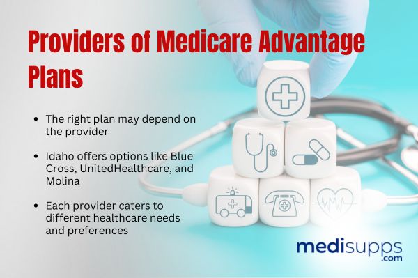 Providers of Medicare Advantage Plans Idaho