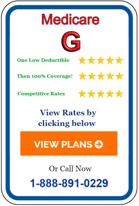 Medicare Plan G