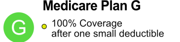 Medicare Plan G